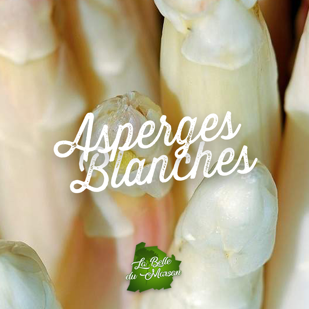 Asperges blanches