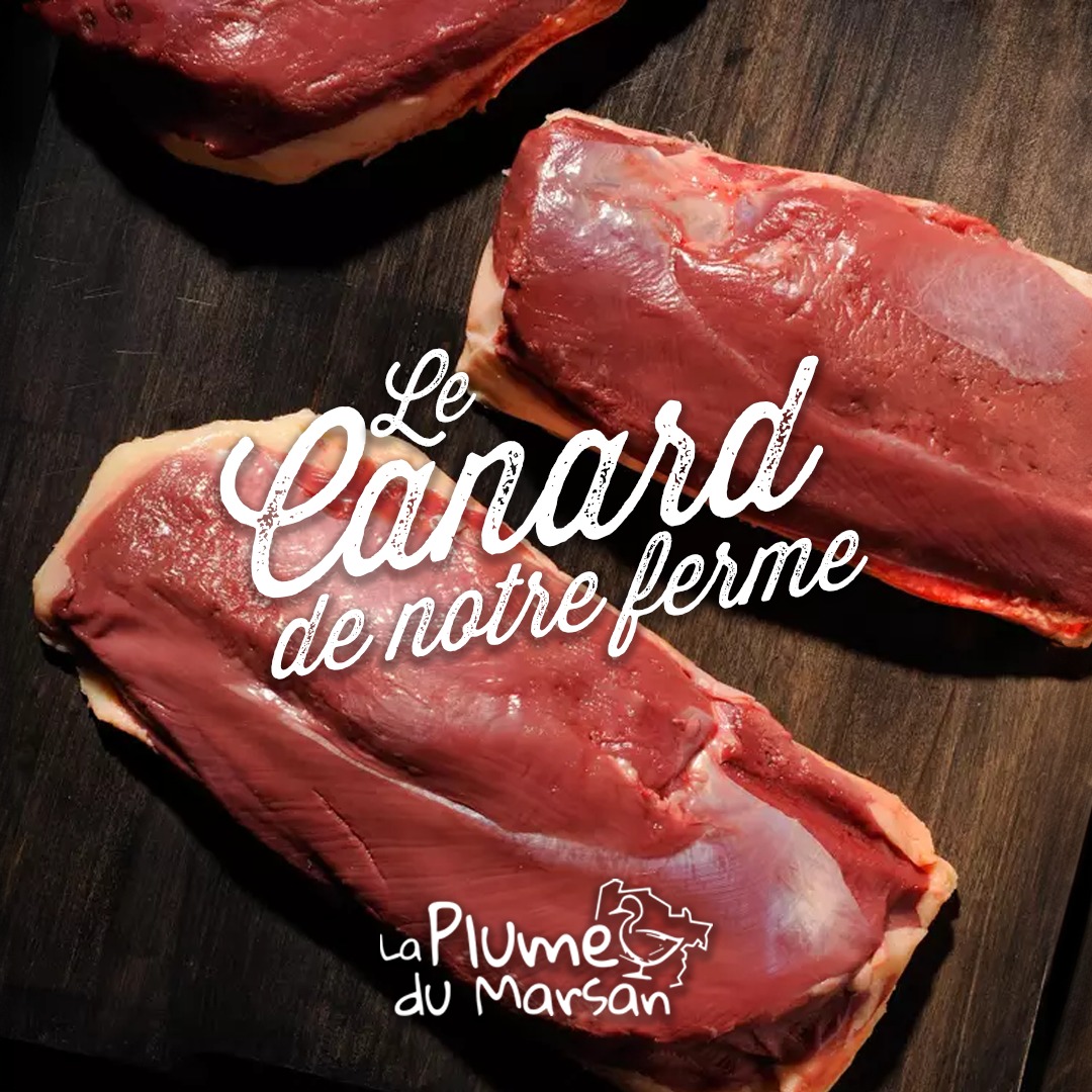 Canard fermier